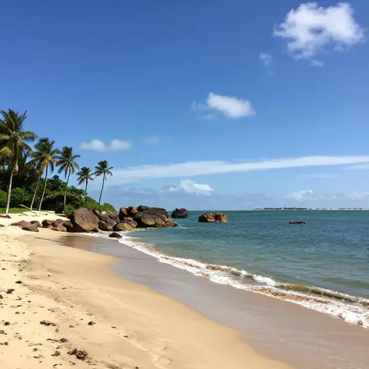 Descubra a Praia de Lagoa Do Mato