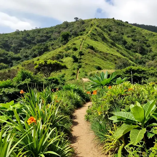 Descubra o Parque das Trilhas Descubra o Parque das Trilhas