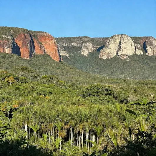 Parque Estadual Natural das Falésias de Canoa Quebrada: Um Paraíso Natural